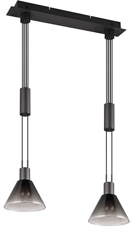 Trio Leuchten Pendelleuchte Stanley 319500232, Metall Schwarz matt, Glas rauchfarbig, exkl. 2x E27