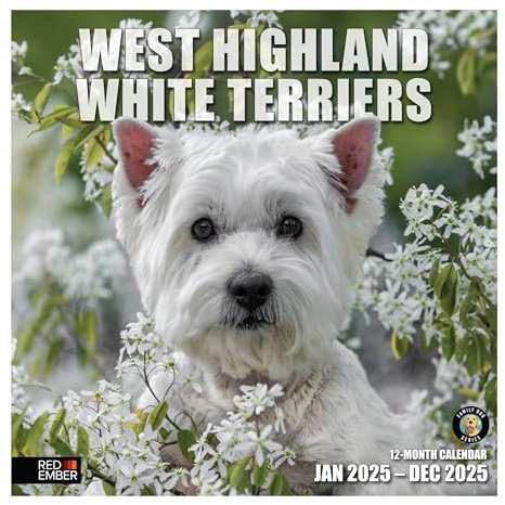RED EMBER West Highland White Terrier Wandkalender 2025, 12 Monate, 30,5 x 61 cm, offen, dickes und stabiles Papier, Geschenk, Kalender 2025