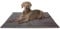 Knuffelwuff Hundedecke Timor 120x80cm Anthrazit - Bequeme und Pflegeleichte Liegedecke aus weichem Cord - waschbar - für große, mittelgroße und kleine Hunde