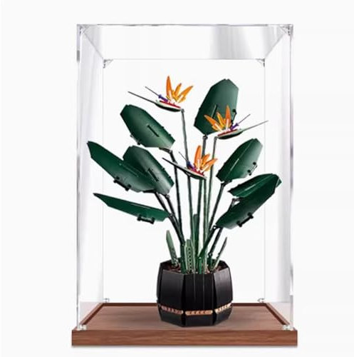 Boîte de présentation en acrylique, compatible avec Lego 10289 Orchidées, boîte de présentation cadeau à collectionner, organisateur (boîte uniquement) (2 mm)