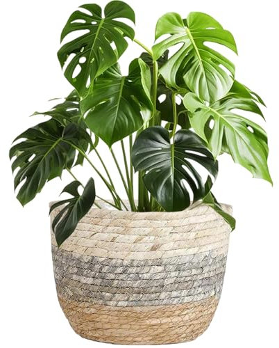 Muzrunq Wicker Plant Pot Planter Basket, 8.7 Inch Woven Plant Basket with Waterproof Inner Liner Flower Pots IndoorDecorative Planter Basket for Plants Indoor Home Decor