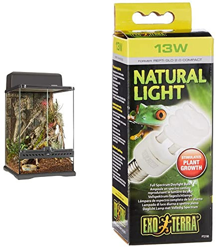 Exo Terra Terrarium aus Glas, im Azteken Design, mit einzigartiger Front Belüftung, 30 x 30 x 45cm & Natural Light, Vollspektrum-Tageslichtlampe,13W, Fassung E27