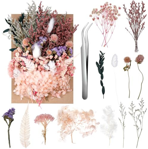 aurorayer Getrocknete Blumen Deko,Natürliche Trockenblumen zum Basteln Dried Gepresste Blumen für Epoxidharz,Scrapbooking,DIY-Kerzenharz