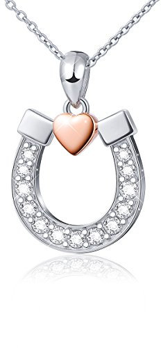 DAOCHONG Hufeisenkette aus Sterlingsilber, Glückshufeisen mit Roségold, Liebes-Herz-Anhänger, Pferde-Steigbügel-Halskette, Pferdeschmuck für Frauen