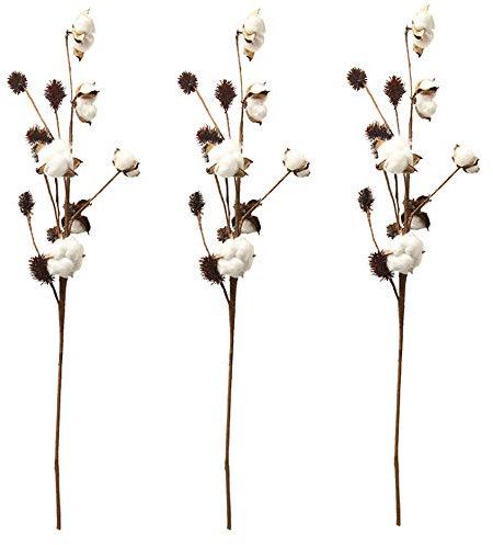 Aisamco 3 Stück Baumwollstiele Bauernhausdekoration Blumendekoration Rustikaler Stil Vasenfüller Rustikale Baumwollzweige 68cm pro Stieldekoration Blume