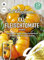 XXL-Fleischtomate Ananas Samen, Packungsgröße N1, Portion Saatgut