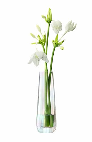 LSA Vase, Glass, Mother of Pearl, H20cm