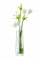 LSA Vase, Glass, Mother of Pearl, H20cm