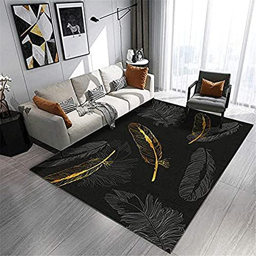 RUGMRZ Teppich Auslegeware Schwarz Gürtel Feder Modernes Wohnzimmer Großer Teppich küchenteppiche Sanft teppiche Wohnzimmer 120X180CM/3ft 11''X5ft 11''