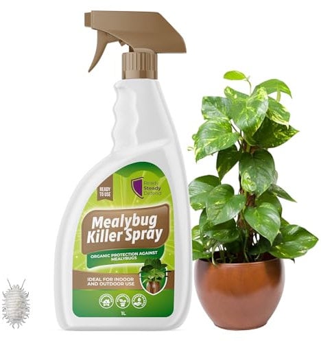 Mealybug Killer Spray 1L - Bug Spray with Insecticidal Soap for Indoor Plants - Effective Plant Insecticide to Target Mealybugs - Easy-to-Use House Plants Bug Killer Treatment for Vibrant Growth