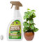 Mealybug Killer Spray 1L - Bug Spray with Insecticidal Soap for Indoor Plants - Effective Plant Insecticide to Target Mealybugs - Easy-to-Use House Plants Bug Killer Treatment for Vibrant Growth