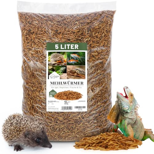 WILDLIFE HOME Edel Mehlwürmer getrocknet 5L I Getrocknete Mehlwürmer für Igel, Hamster, Reptilien & Co. I Mehlwürmer getrocknet - Insektenfutter