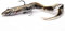 Savage Gear 4D Real EEL - Aal Gummifisch für Hecht, Farbe:Olive Pearl PHP, Länge/Gewicht:20cm / 38g