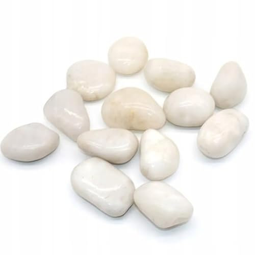 Generisch Weiß Polierte Kieselsteine Dekosteine I Glanzkies Große Kieselsteine Flusskiesel Deko-Steine für Garten I Gartenteich Steine Teichkies Zierkies Gartenkies Ziersteine (10-20 mm, 5)