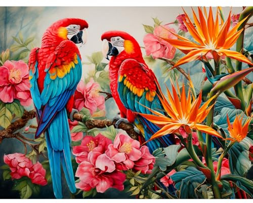 NAIMOER Diamond Painting Vögel, Diamant Painting Erwachsene Papageien Diamond Painting Erwachsene Bilder Tiere Diamant Painting Kinder 5D Diamant Malerei Stickerei für Home Décor(30x40cm)