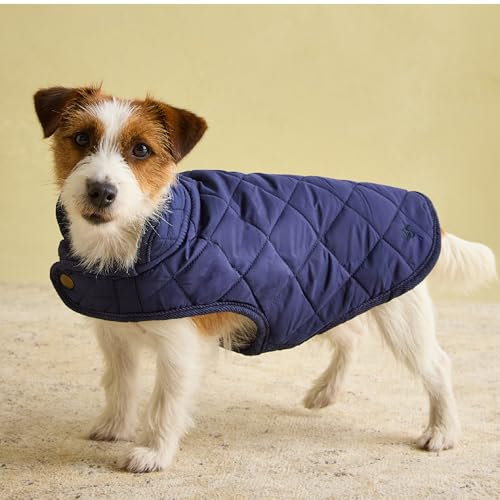 Rosewood Joules Hundemantel, gesteppt, Größe S, Marineblau