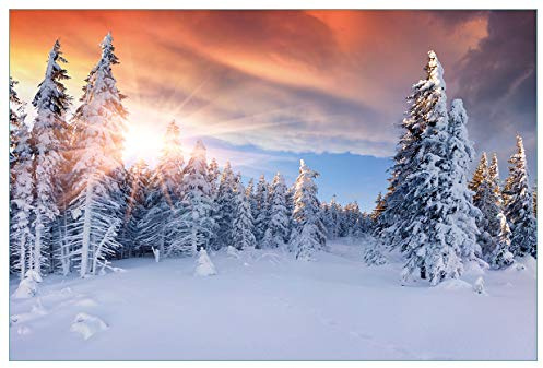 Wallario Küchenrückwand selbstklebend 90 x 60 cm, Motiv: Sonnenaufgang über einen Winterwald | Spritzschutz abwischbar & pflegeleicht