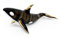 WitnyStore Winzige Orca-Killer-Wal-Figur, 8,9 cm, schwarz-weiß, Miniatur, mundgeblasenes Glas, Delfine, Wale, Meeressäugetiere, Meerestiere, Fische, niedliche Kristalle, dekorative Sammlerfiguren,