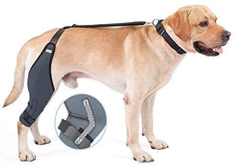 Hunde-Kniebandage, 8 Größen, Hunde-Ellenbogenbandage, Knie-Wegfahrsperre, Unterstützung Mit Metallstreifen, Hilft Dem Hund, Das Gelenk Stabil Zu Halten, Neopren-Hunde-Kniebandage,XS