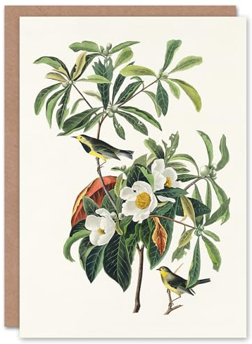 Artery8 John James Audubon Art Card Bachmans Warbler and Franklinia Tree