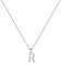 TINGN Kette mit Buchstaben Silber Kette Damen, Hypoallergene Halskette mit Buchstabe R Kette Buchstaben Anhänger Kette für Mädchen S925 Sterling Silber Kette Halskette Schmuck Geschenke für Frauen