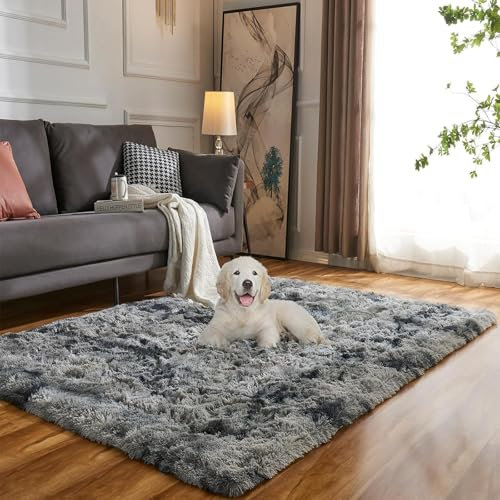 Evitany Teppich Wohnzimmer, Anti Rutsch Waschbare Flauschiger Teppich, Ultra Soft Hochflor Teppiche,Zottelig Wohnzimmerteppich für Schlafzimmer,Lounge (Dunkelgrau, 120x160 cm)