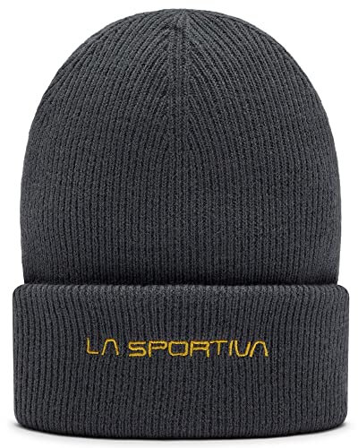 LA SPORTIVA Boulder Beanie Carbon