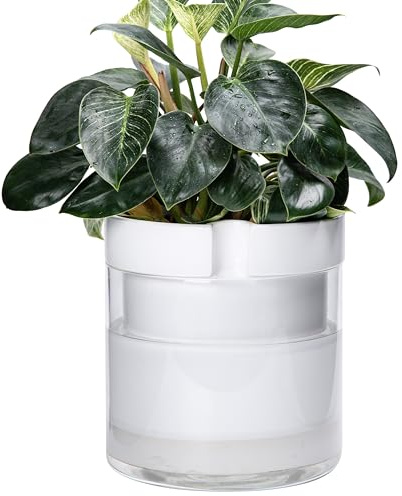 Phoenix Vine 25,4 cm selbstbewässernder Pflanztopf aus weißem Terrakotta-Ton, mit Glasspeicher für Zimmerpflanzen, Kräuter, Blumen, 1er-Set, 52-B-I-1