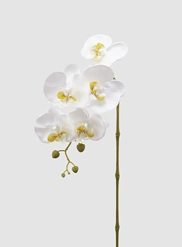 EDG Enzo De Gasperi Enzo De Gasperi Orchidea Phalaenopsis Olis Ramo 3D x5 Artificiale H 70 Cm White