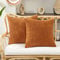 Deconovo Kissenbezug 40x40 Dekokissen Kordsamt Kissenhülle Dekorative Sofakissen Zierkissenhülle Super Weich Kissenbezüge Decor Kissenhüllen für Sofa Büro Couch Wohnzimmer, 40x40 cm, Orange, 2er Set