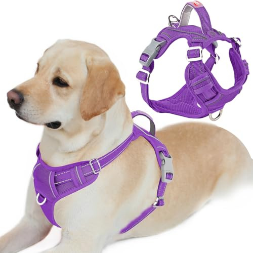 BARKBAY No Pull Dog Harness Front Clip Heavy Duty Reflective Easy Control Handle for Large Dog Walking with ID tag Pocket(Purple,L)
