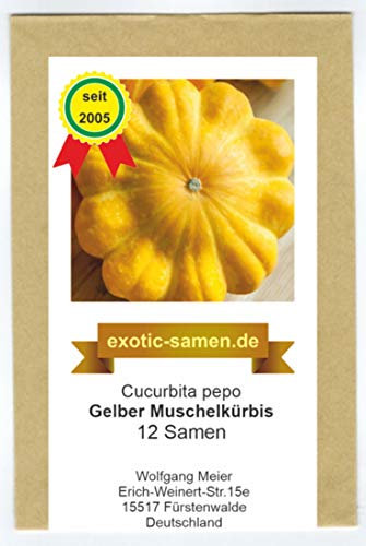 Gelber Muschelkürbis - Minikürbis - für kleine Gärten und Kübel - samenfeste Sorte - 12 Samen