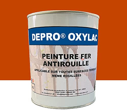 OXYLAC Peinture antirouille pour métal neuf et rouillé - 1KG (ORANGE T.P)