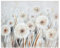 GILDE großes Bild XL auf Leinwand 100 x 80 cm - Pusteblumen Blumen creme grau