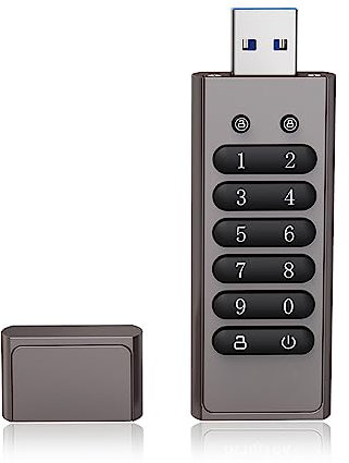 Disque U,ERYUE Clé USB cryptée 32 Go 256 Bits avec Mot de Passe Clé USB 3.0 U Prise en Charge du Disque Fonction de réinitialisation/Effacement/Verrouillage Automatique, Gris