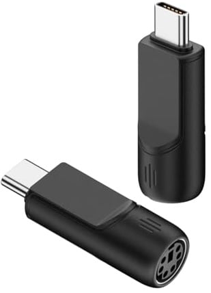 QIANRENON USB C auf PS2 Maus Tastatur Adapter USB Typ C Stecker auf PS/2 Buchse Konverter Typ C Stecker auf PS/2 Buchse, unterstützt nicht Hot Swapping, für Laptop, Tablet, PC, 2 Stück