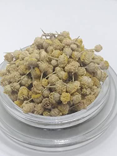 Manzanilla Amarga 200 gr - Manzanilla Cabeza Mahon 200gr -Santolina chamaecyparissus - Mi Ruta Natural