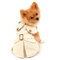 PAIDEFUL Hundemantel für kleine Hunde, Mädchen, Jungen, Winddicht, modisch, Westernjacke, mit Gürtel, Oberbekleidung für Herbst und Winter, Hundekleidung für Welpen, Chihuahua, Yorkie, Khaki, Größe L