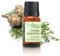 Ätherisches Zypressenöl 10 ml – 100% rein und authentisch, GCMS-geprüft