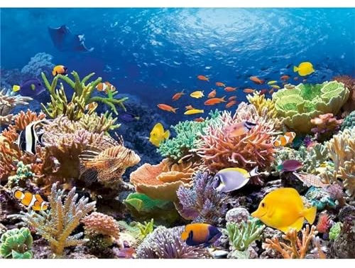 Yoonqun Unterwasser-Szenerie Malen Nach Zahlen Set,40x50cm Malen Nach Zahlen Erwachsene DIY inklusive Pinsel und Acrylfarben Handgemalt Ölgemälde Kit Startseite Wandkunst Dekoration - mit Rahmen