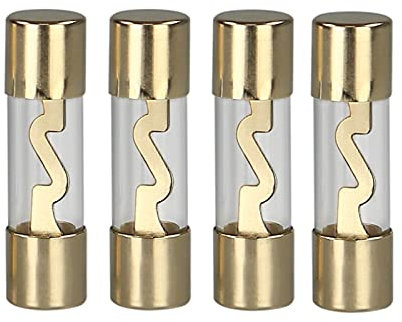Glassicherung AGU Sicherung 60 Ampere 4 Stück Fuses