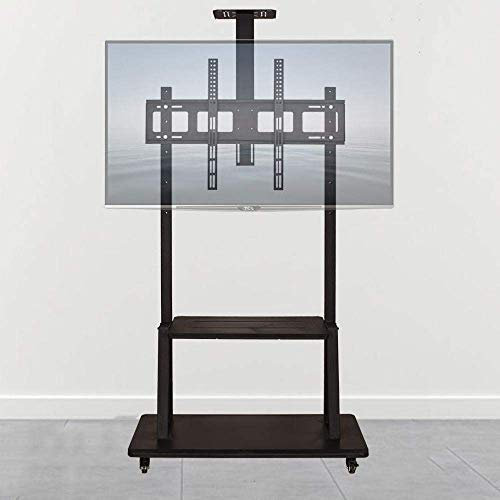 GGZONE Stainless Steel Mobile TV Floor Stand For 40—85 Inches TVs,White Television Stands Up To 70Kg Tilting Height Adjustable (Style #4) beautiful scenery