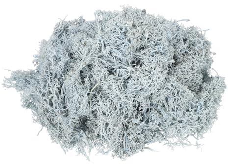 QUARKZMAN 7.4oz Musgo De Reno Preservado, Musgo Artificial Decorativo Azul Claro para Plantas En Maceta Manualidades Decoraciones Interiores Líquen Centros De Mesa