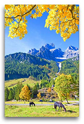 Premium Textil-Leinwand 30 x 45 cm Hoch-Format Bischofsmütze | Wandbild, HD-Bild auf Keilrahmen, Fertigbild auf hochwertigem Vlies, Leinwanddruck von Christa Kramer