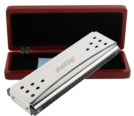 Tremolo-Mundharmonika mit 24 Löchern, C und G, doppelseitige Taste, polyphonische Mundharmonika, professionelle Mundharmonika für Erwachsene und Anfänger, mit hochwertiger Box (T24-2)