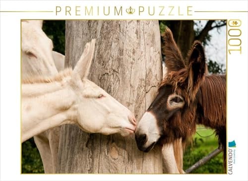 CALVENDO Puzzle Poitou Esel und weißer Esel | 1000 Teile Lege-Größe 64 x 48 cm Foto-Puzzle für glückliche Stunden