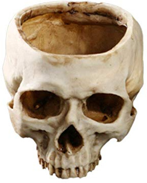Skull Blumentopf, Resin Harz Schädel Kopf Modell Pflanztopf Container