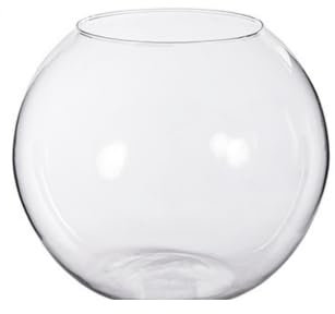 Pecera Cristal (30cm)