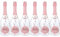 Blanc Foussy - Vin Effervescent Ice Rosé Demi-Sec (6 x 0,75 L)