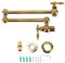 Grifo de Llenado de Ollas, Grifo de Cocina Montado en la Pared de Cobre, Grifo Frío Individual Plegable Y Estirable con Brazo Oscilante de Doble Articulación, Grifo de Fregadero con Brazo(Titanio)